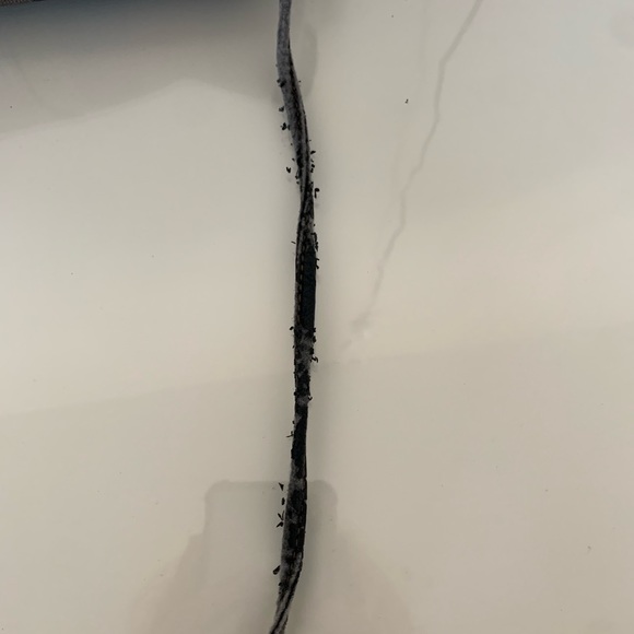 Fendi Purse - Picture 6 of 7